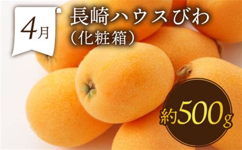 【6回定期便 偶数月コース】フルーツ定期便 旬のフルーツをセット ハウスびわ メロン ぶどう 巨峰 みかん など 定期便 旬 フルーツ