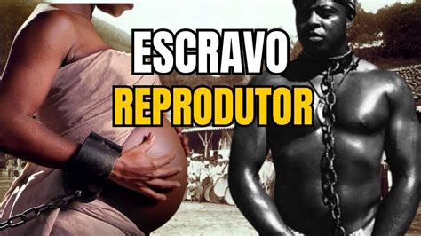 A História Escondida do Escravo Reprodutor no Brasil YouTube