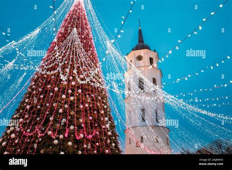 Vilnius Litauen Weihnachtsbaum Auf Hintergrund Glockenturm