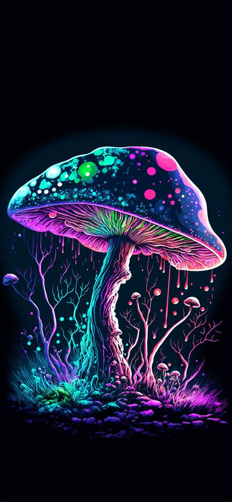 Background Mushroom Wallpaper - EnWallpaper