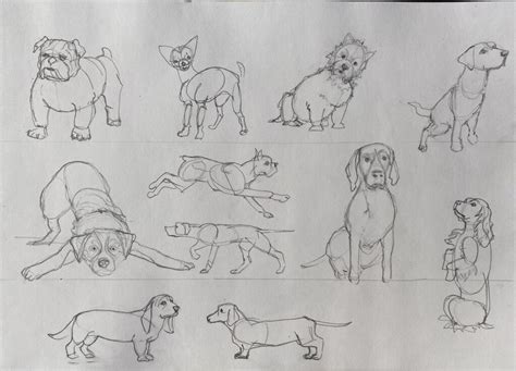 How to Draw Dogs in 4 Easy Steps! - Emily's Notebook