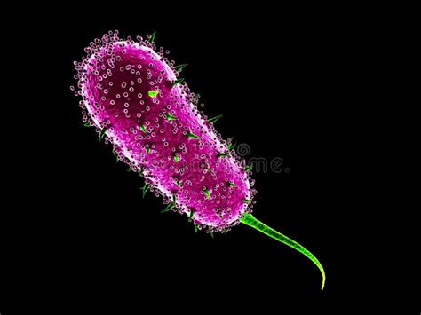 Bacteria Virus Cell D Illustration Isolated Black Stock Illustration