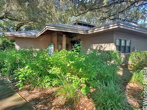 Sawgrass Lake Park: A Beautiful Natural Spot In The Heart Of St. Petersburg