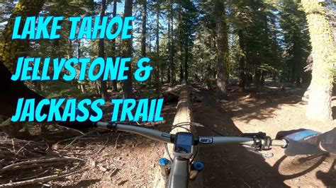 Jackass And Jellystone Trails Coldstream Canyon Tahoe Mountain