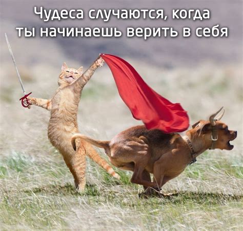 Неориторика | ВКонтакте