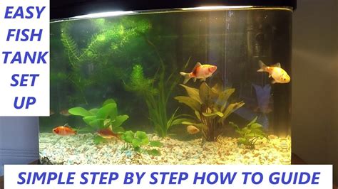 Easy Fish Tank Set Up Guide For Cold Water Fish Goldfish Tank How To