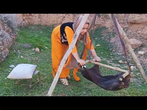 Preparation Of Buttermilk From Goat S Milk By Nomadic Women In Iranian