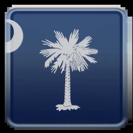 South Carolina Flag Design Assets – IconScout