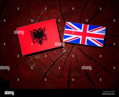 Albanian flag with British flag on a tree stump isolated Stock Photo ...