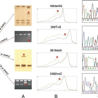 The contributions the mutation detection methods made to analysis... | Download Scientific Diagram