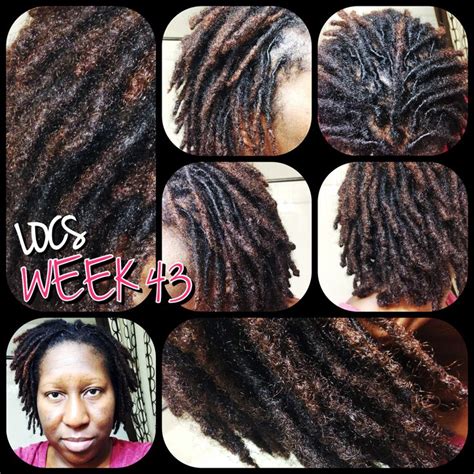 November Locs Week Maintenance Retwist Professional