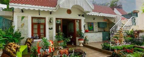 The Secrets of Thriving Terrace Garden in Bangalore