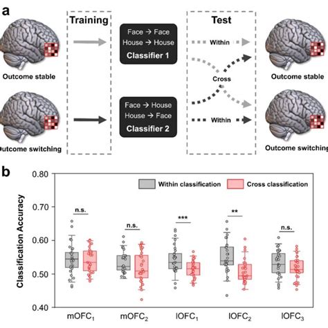 Results From The Whole Brain Multi Voxel Pattern Analysis MVPA