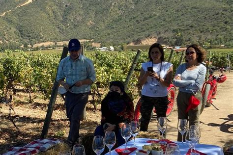 Tour de viñedos y bodegas por el valle de Apalta desde Santa Cruz