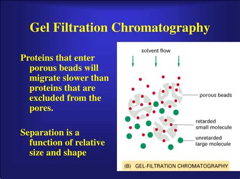 PPT - Protein Purification PowerPoint Presentation, free download - ID ...