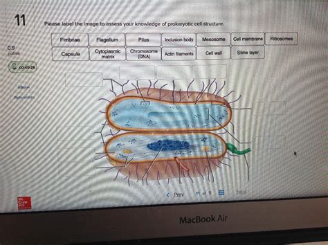 Solved Please Label The Image To Assess Your Knowledge Of Chegg