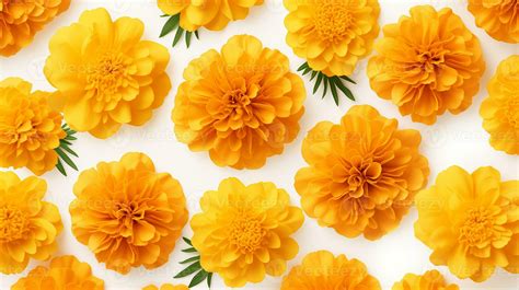 Marigold flower patterned background. Flower texture background ...