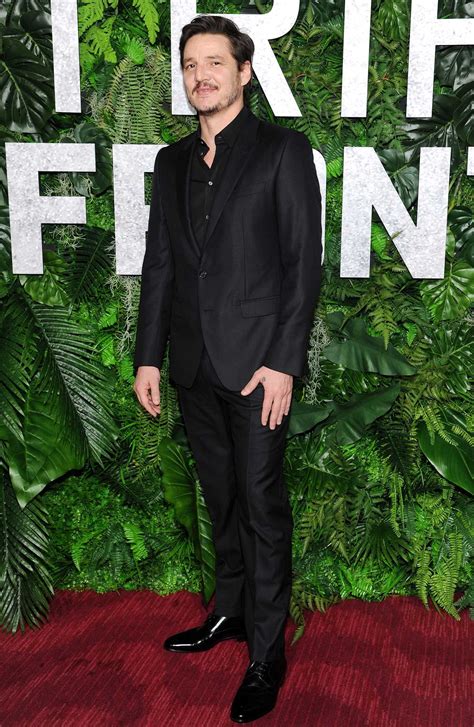 Pedro Pascal Attends the Triple Frontier Premiere in New York – Celeb Donut