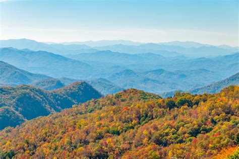 Fall Colors Smoky Mountains 2022