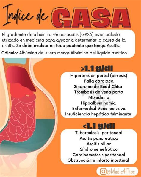 Índice de Gasa Medical Tips uDocz