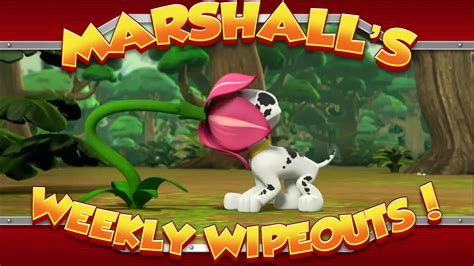 Marshall S Weekly Wipeouts Season Pups Jungle Trouble Youtube