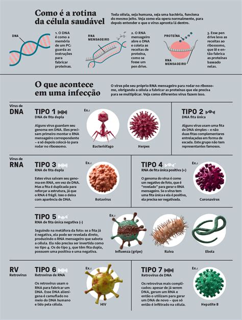 Doenças Causada Por Virus - Doencas Humanas Causadas Por Virus