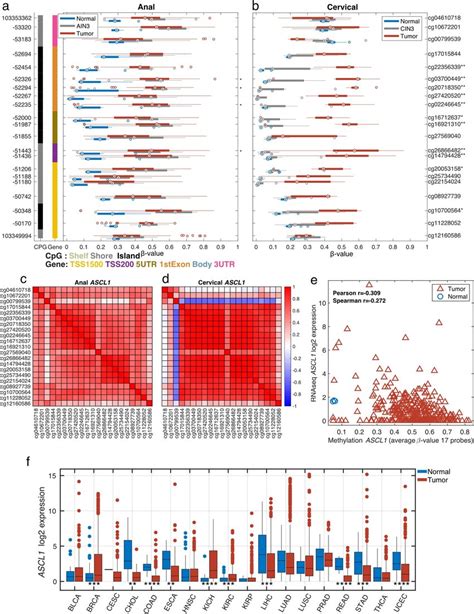 Gene Structure Methylation Plot Of Differentially Methylated Cpg Loci