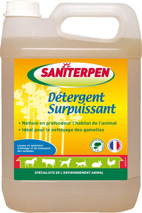 D Tergent Surpuissant Pin Des Landes L Saniterpen Dod