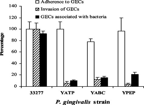 Adherence and invasion properties of P. gingivalis mutant strains YABC ... 