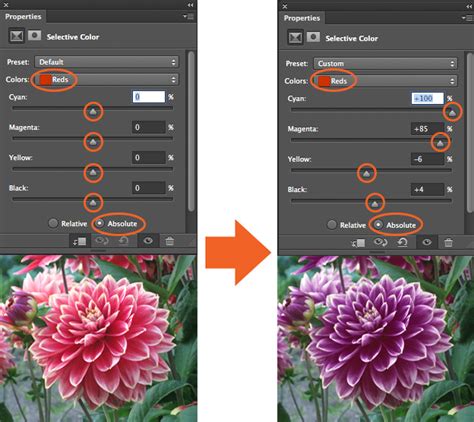 How To Use Adjustment Layers In Photoshop Article Photoshop