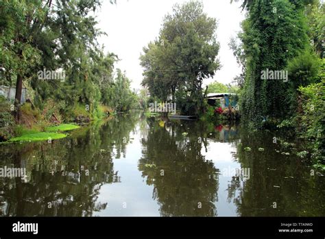 Xochimilco district in Mexico city Stock Photo - Alamy