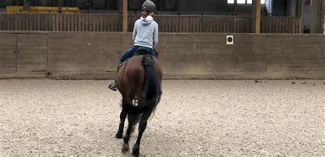 Oliver Ehrenbrecht Als Neuer Reitlehrer Beim RV Heidenheim