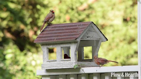 Covered Bridge Bird Feeder Sku 59g22 Plow And Hearth Youtube