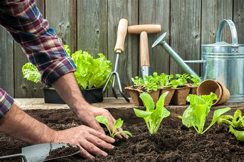 Gardening And Farming Author At Gardening And Farming