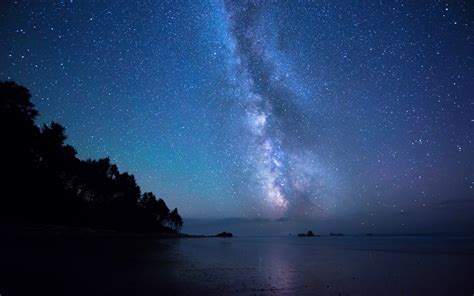 Tapety Krajina Noc Galaxie Nebe Rostliny Silueta Hv Zdy