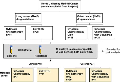 Frontiers Genetic Characteristics Associated With Drug Resistance In Lung Cancer And