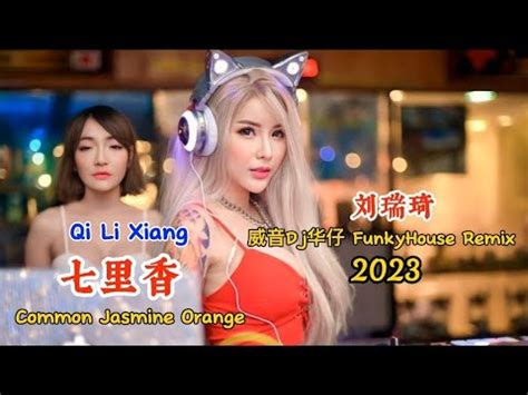 刘瑞琦 七里香 威音Dj华仔 FunkyHouse Remix 2023 Qi Li Xiang Common