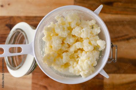 Organic probiotic Milk Kefir grains Stock Photo | Adobe Stock