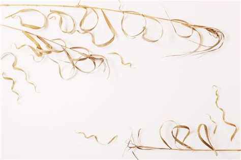 Premium Photo Dried Wild Plants On White Background