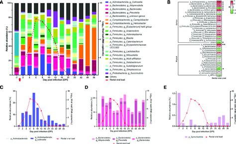 Analyses Of The Neonate Rectal Microbiota Composition A Bar Plots