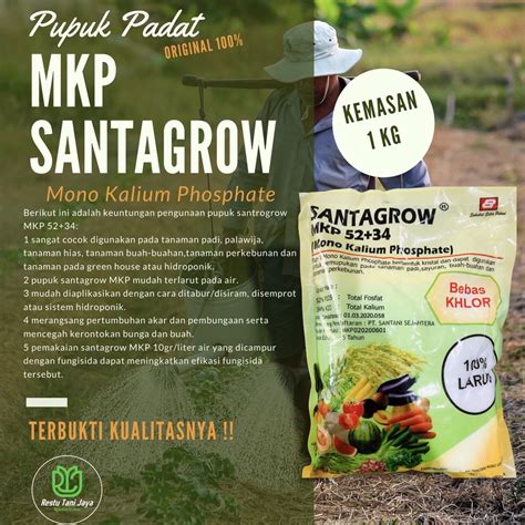 Jual Pupuk Mkp Santagrow Pupuk Pertanian Penguat Batang Tanaman