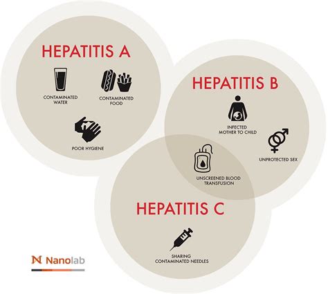 Conoce A Los Virus De La Hepatitis