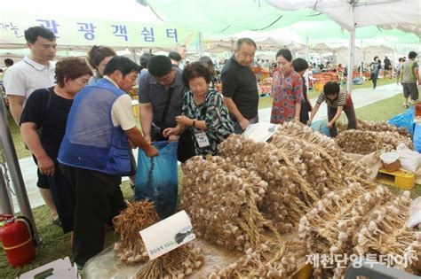 ‘즐거움 깃든 맛 향연 단양마늘축제 성료 제천단양투데이 주요기사 제천단양투데이