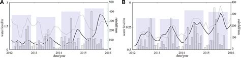 Frontiers Hydrodynamic Mechanism Of Quasi Synchronous Water Level