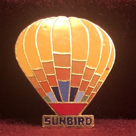 Vintage Sunbird Hot Air Balloon Pin 1980 S Metal And Gem