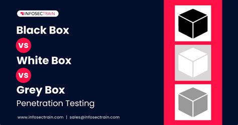 Black Box Vs White Box Vs Grey Box Penetration Testing