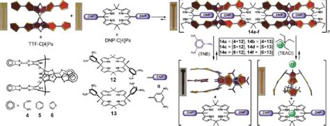 Schematic Representation Of The Supramolecular Self Assembly Between