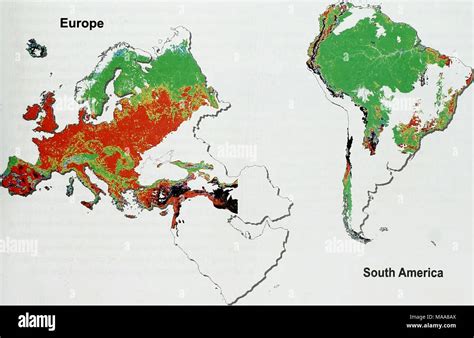 Ecosistemas Y Bienestar Humano Síntesis De La Biodiversidad América Del Sur Los Ecosistemas