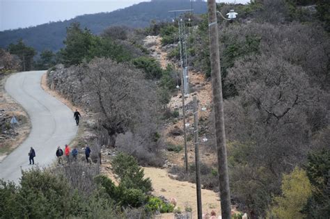 Spriječimo stradavanje ptica od strujnih udara Pozivaju se volonteri s