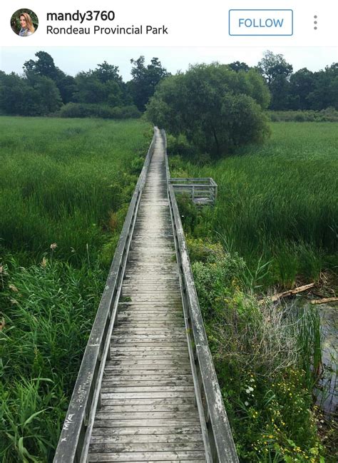 Rondeau Provincial Park | Ontario parks, Places to see, Park